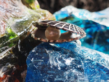 Load image into Gallery viewer, Seashell With Hidden Pearl
