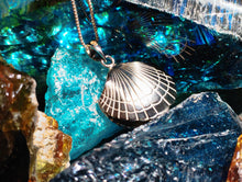 Load image into Gallery viewer, Seashell With Hidden Pearl
