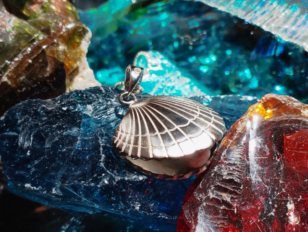 Seashell With Hidden Pearl